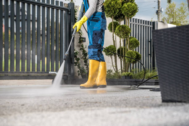 Best Dumpster Area Cleaning  in Berrien Springs, MI